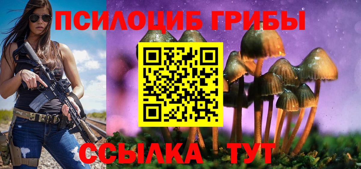 Псилоцибиновые грибы мицелий  Галлюциногенные грибы MAGIC MUSHROOMS  даркнет сайт  Тулун  Вход с VPN 